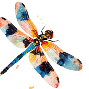 SCHAUSPIEL - KURS - TEENS