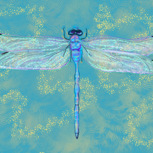 SCHAUSPIEL - WORKSHOP - TEENS